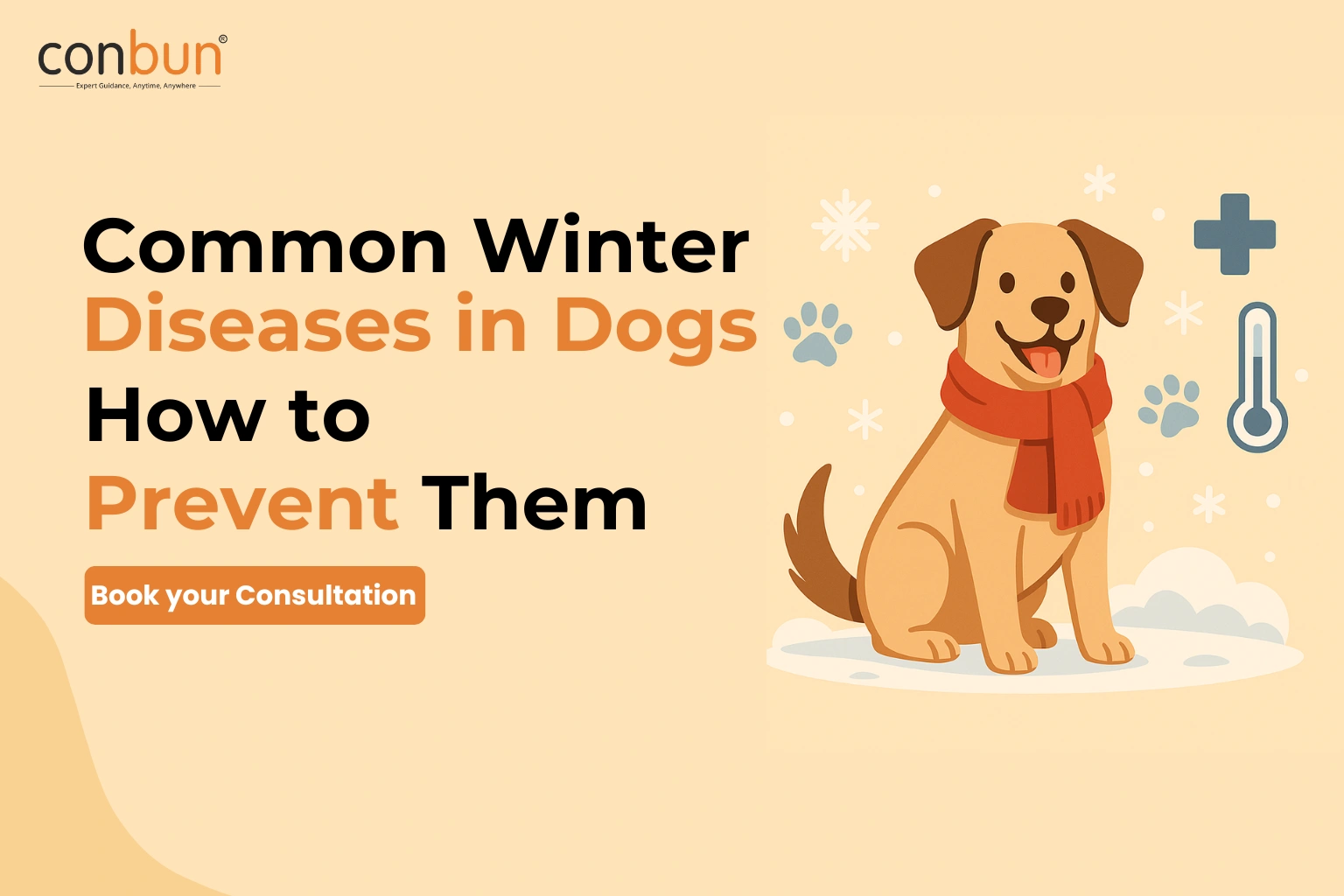 Common Winter Diseases in Dogs & How to Prevent Them